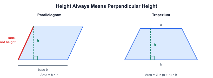 Diagram showing perpendicular height versus the slanted side in a parallelogram and trapezium