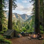 A realistic campsite set among massive California redwood trees with a tent, campfire, and distant mountain views.